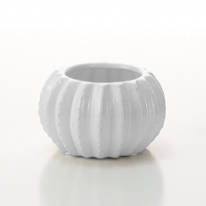 (DISC) WHITE CACTUS POT 7H 6.5T 7B 11WP