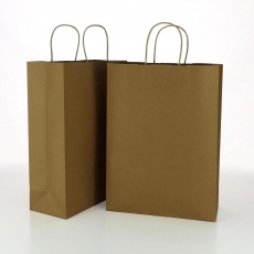 BROWN KRAFT BAG 35H 26W W-HANDLE -BKPT350-SMALL