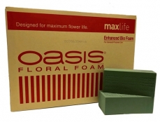 ctn48 BIO FOAM OASIS MAXILIFE 0401