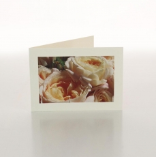 PEACH ROSES - FOLDED CARD PK/20