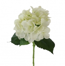 55CM HYDRANGEA CREAM