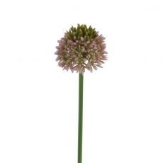 (DISC) 38CM ALLIUM LAVENDER