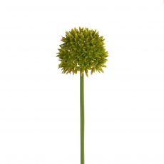 (DISC) 38CM ALLIUM GREEN