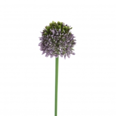 (DISC) 38CM ALLIUM PURPLE