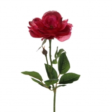 59CM SINGLE ROSE PLUM