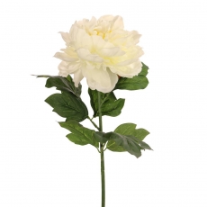 62CM OPEN PEONY CREAM