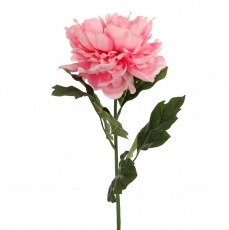 62CM OPEN PEONY PINK