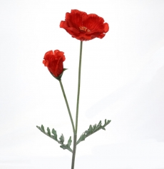 RED POPPY