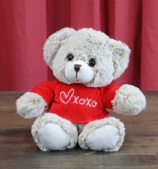 BEIGE BEAR RED T-SHIRT 20CM SITTING