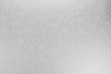 BUTTERFLY FROSTED 50X70CM 50MIC WHITE PK/100