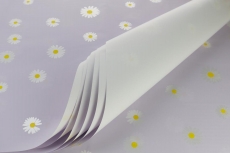 DAISY DUO PEARL 50X70CM 60MIC LAVENDER PK/50