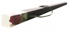 CHARCOAL SQUARE ROSE TUBE 62x7x1.6cm w/handle