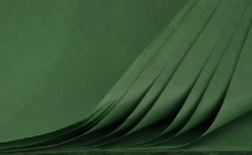 PREM TISSUE PAPER 480/PK 50X75 ACID FREE BOT GREEN