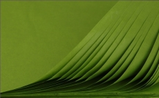 PREM TISSUE PAPER 480/PK 50X75 ACID FREE OLIVE