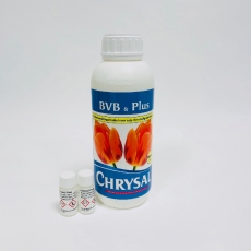 chrysal BVB PLUS  FOR TULIPS