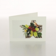 DRIFTWOOD STAR - FOLDED CARD PK/20