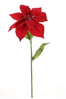 60CM GLITTERED EDGE POINSETTIA SINGLE RED