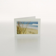 BEACH GRASSES - FOLDED CARD PK/20