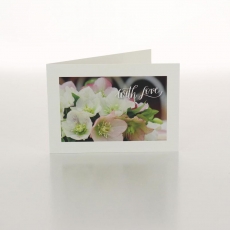 WITH LOVE - HELLEBORES - FOLDED CARD PK/20