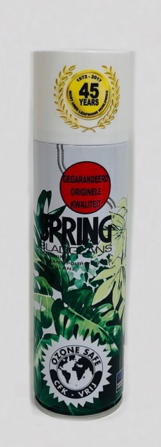 SPRING LEAFSHINE 250ML