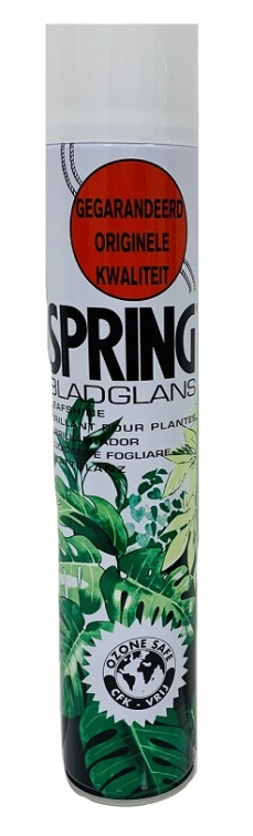 SPRING LEAFSHINE 750ML