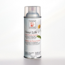 DESIGN MASTER SPRAY CLEAR LIFE