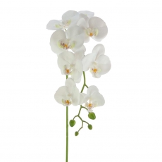 Real Touch Phalaenopsis Orchid 100cm WHITE
