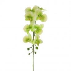 Real Touch Phalaenopsis Orchid 100cm WHITEGREEN