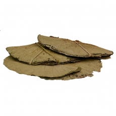 LOTUS LEAVES 400GM BAG