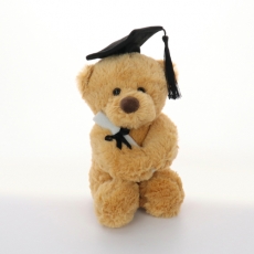 BROWN GRADUATION BEAR 19CM