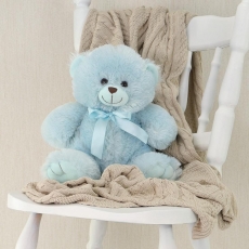 TEDDY BEAR BABY BLUE 30CM SITTING