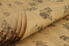 BOTANICAL W/R PRINT KRAFT 80GSM 50X70CM PK 50