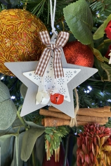 DOUBLE LAYER XMAS STAR GREY 11HX11CM pack of 10